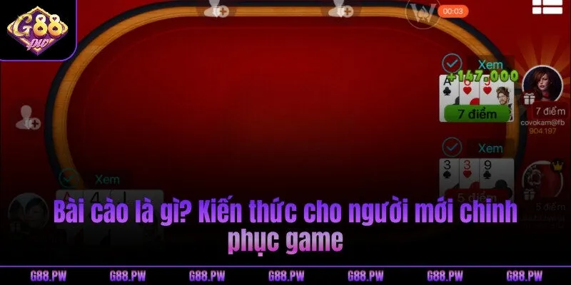 Bài cào là gì? Kiến thức cho người mới chinh phục game