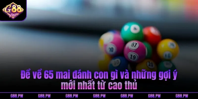 Đề về 65 mai đánh con gì và những gợi ý mới nhất từ cao thủ