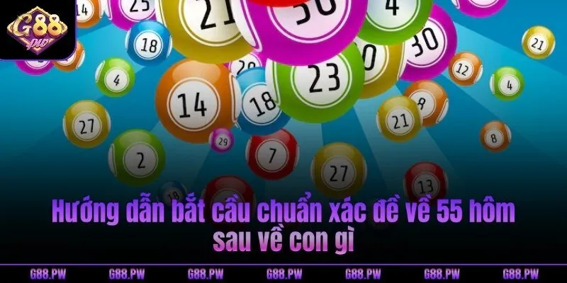 Hướng dẫn bắt cầu chuẩn xác đề về 55 hôm sau về con gì