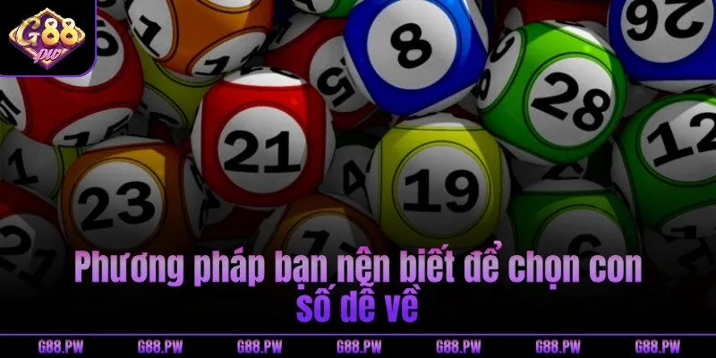 Phương pháp bạn nên biết để chọn con số dễ về