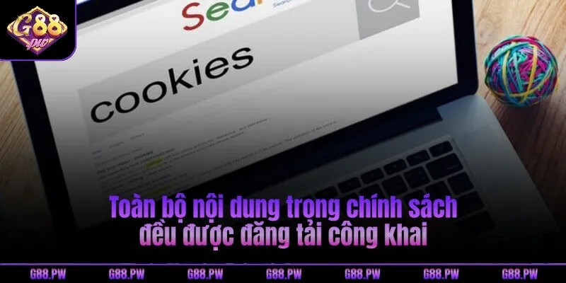 Toàn bộ nội dung trong chính sách đều được đăng tải công khai