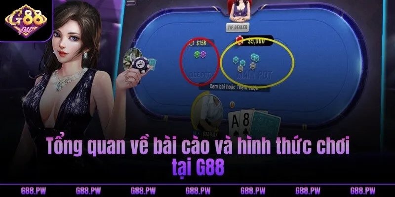 Tổng quan về bài cào và hình thức chơi tại G88